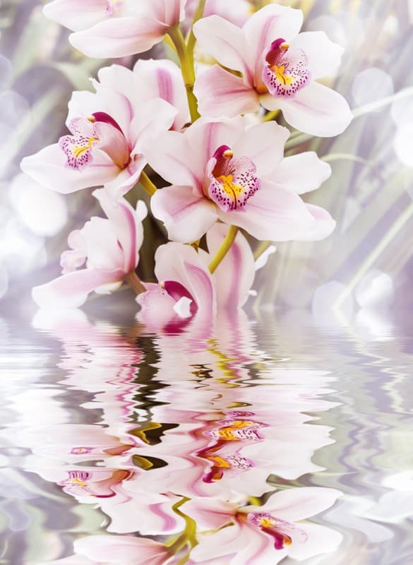 <span  class="uc_style_uc_tiles_grid_image_elementor_uc_items_attribute_title" style="color:#ffffff;">2555</span>