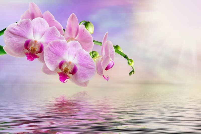 <span  class="uc_style_uc_tiles_grid_image_elementor_uc_items_attribute_title" style="color:#ffffff;">2566</span>