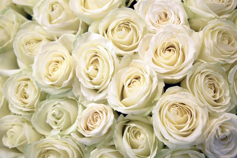<span  class="uc_style_uc_tiles_grid_image_elementor_uc_items_attribute_title" style="color:#ffffff;">2567</span>