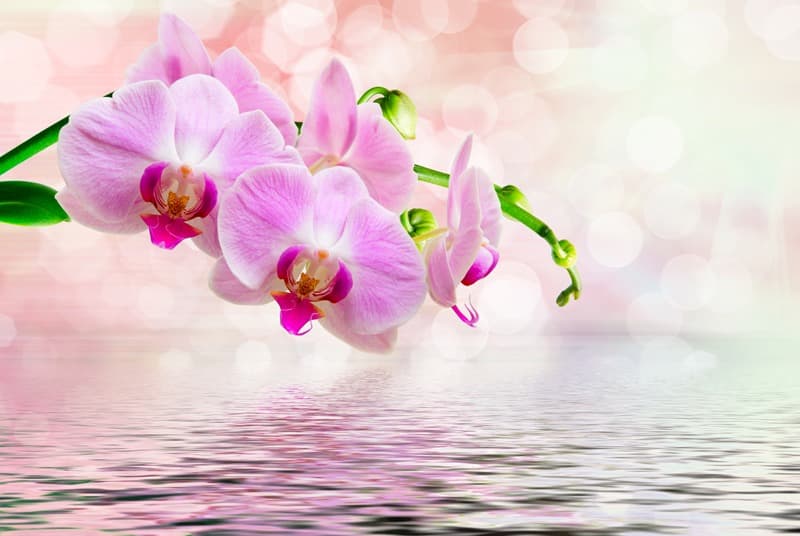 <span  class="uc_style_uc_tiles_grid_image_elementor_uc_items_attribute_title" style="color:#ffffff;">2573</span>