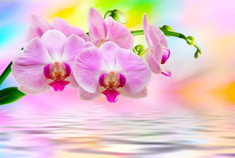 <span  class="uc_style_uc_tiles_grid_image_elementor_uc_items_attribute_title" style="color:#ffffff;">2575</span>