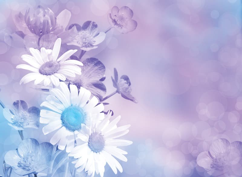 <span  class="uc_style_uc_tiles_grid_image_elementor_uc_items_attribute_title" style="color:#ffffff;">2579</span>