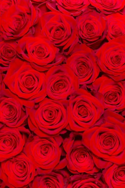 <span  class="uc_style_uc_tiles_grid_image_elementor_uc_items_attribute_title" style="color:#ffffff;">2580</span>