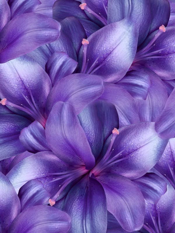 <span  class="uc_style_uc_tiles_grid_image_elementor_uc_items_attribute_title" style="color:#ffffff;">2584</span>