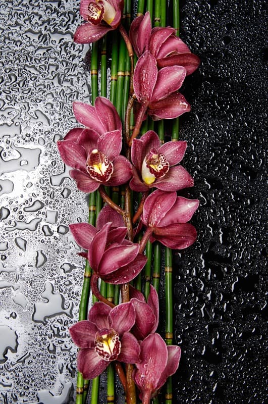 <span  class="uc_style_uc_tiles_grid_image_elementor_uc_items_attribute_title" style="color:#ffffff;">2590</span>