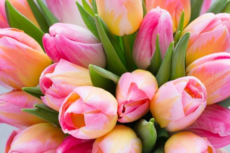 <span  class="uc_style_uc_tiles_grid_image_elementor_uc_items_attribute_title" style="color:#ffffff;">2591</span>