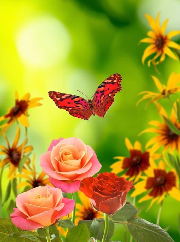 <span  class="uc_style_uc_tiles_grid_image_elementor_uc_items_attribute_title" style="color:#ffffff;">2597</span>