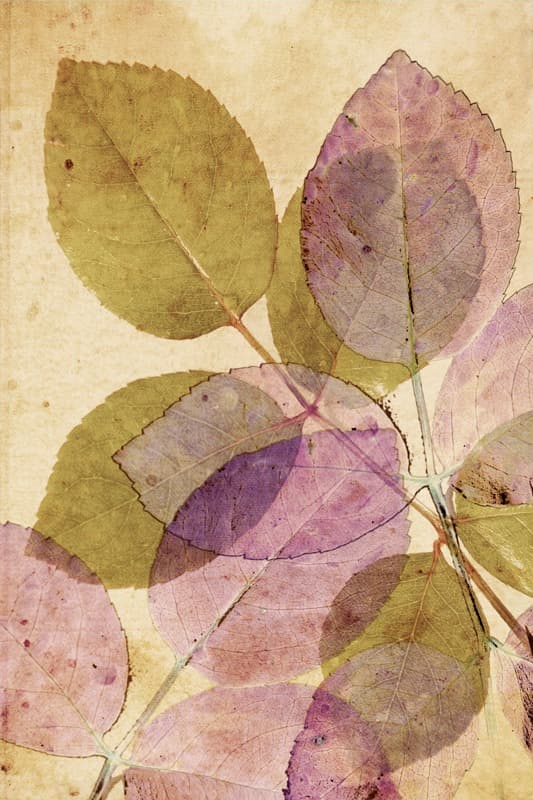 <span  class="uc_style_uc_tiles_grid_image_elementor_uc_items_attribute_title" style="color:#ffffff;">2602</span>