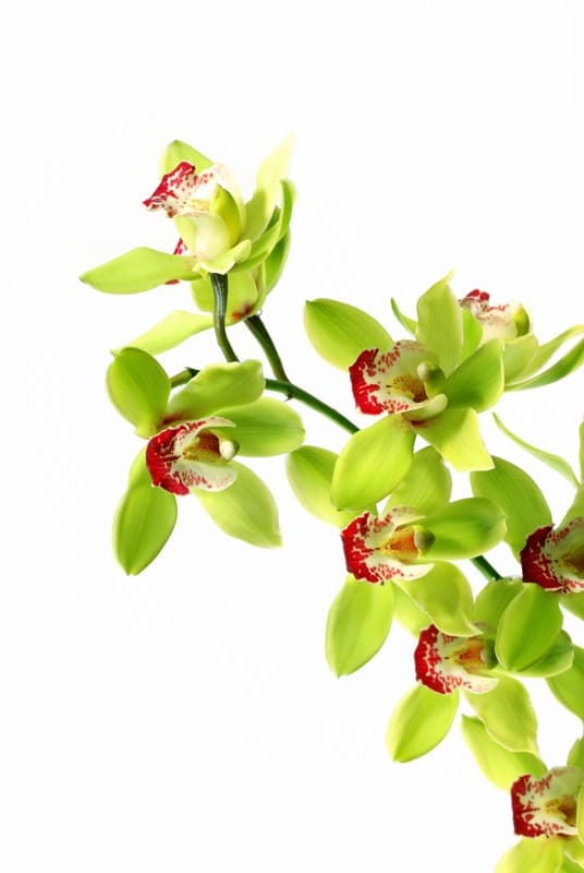 <span  class="uc_style_uc_tiles_grid_image_elementor_uc_items_attribute_title" style="color:#ffffff;">2605</span>