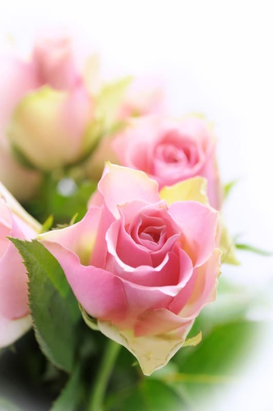 <span  class="uc_style_uc_tiles_grid_image_elementor_uc_items_attribute_title" style="color:#ffffff;">2612</span>