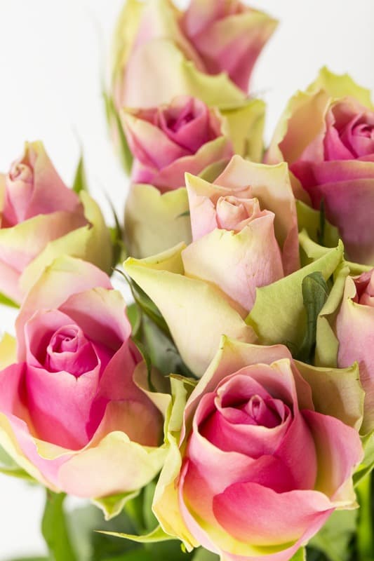 <span  class="uc_style_uc_tiles_grid_image_elementor_uc_items_attribute_title" style="color:#ffffff;">2614</span>