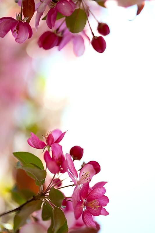 <span  class="uc_style_uc_tiles_grid_image_elementor_uc_items_attribute_title" style="color:#ffffff;">2621</span>