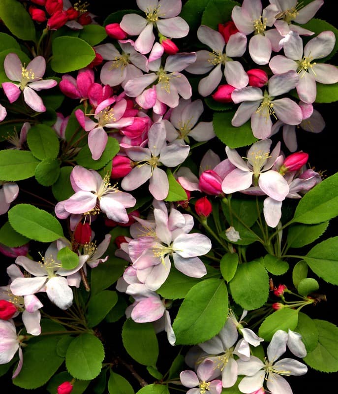 <span  class="uc_style_uc_tiles_grid_image_elementor_uc_items_attribute_title" style="color:#ffffff;">2626</span>