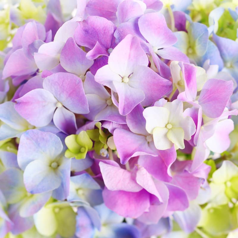 <span  class="uc_style_uc_tiles_grid_image_elementor_uc_items_attribute_title" style="color:#ffffff;">2628</span>