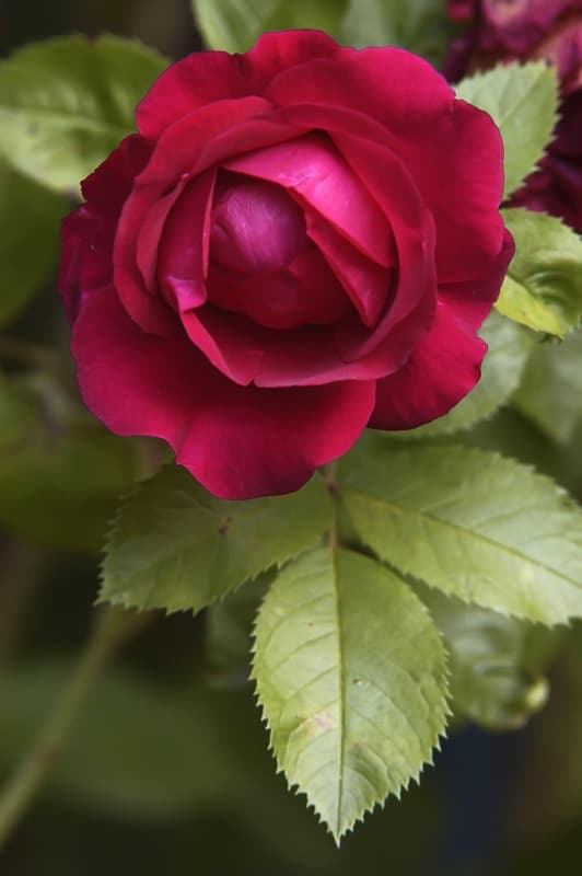 <span  class="uc_style_uc_tiles_grid_image_elementor_uc_items_attribute_title" style="color:#ffffff;">2629</span>