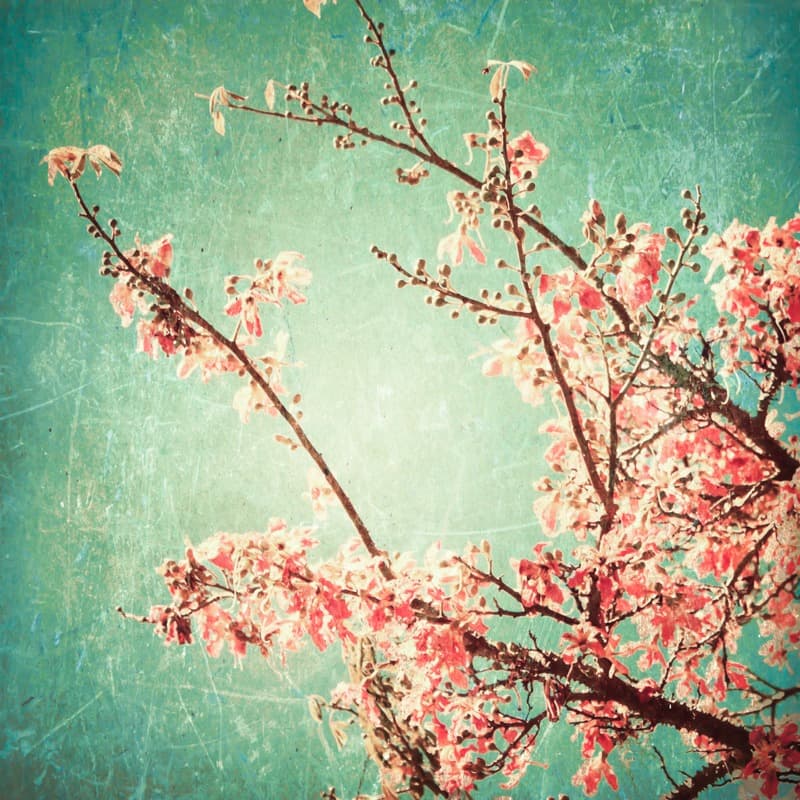 <span  class="uc_style_uc_tiles_grid_image_elementor_uc_items_attribute_title" style="color:#ffffff;">2633</span>