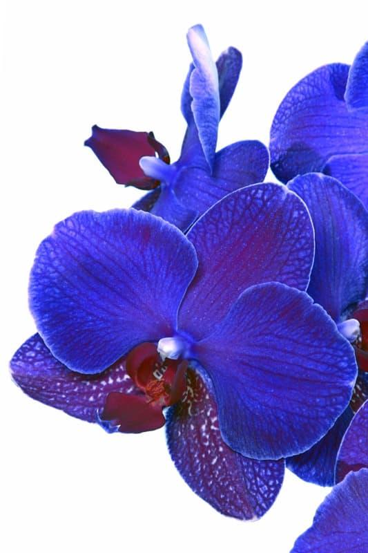 <span  class="uc_style_uc_tiles_grid_image_elementor_uc_items_attribute_title" style="color:#ffffff;">2638</span>