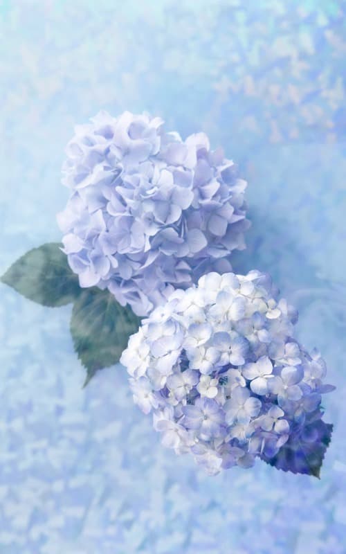 <span  class="uc_style_uc_tiles_grid_image_elementor_uc_items_attribute_title" style="color:#ffffff;">2651</span>