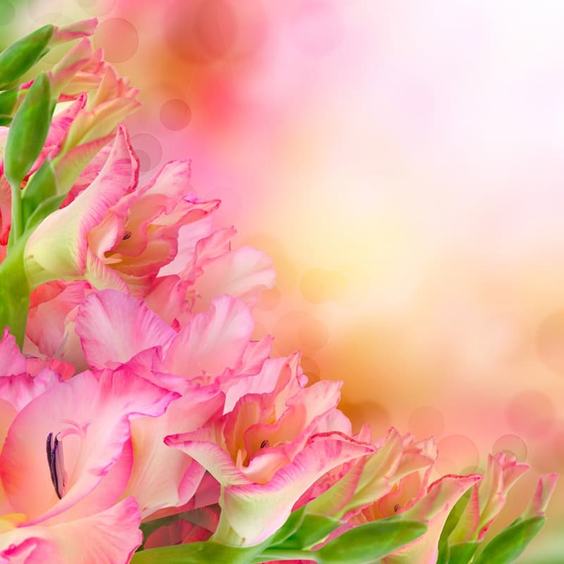 <span  class="uc_style_uc_tiles_grid_image_elementor_uc_items_attribute_title" style="color:#ffffff;">2660</span>