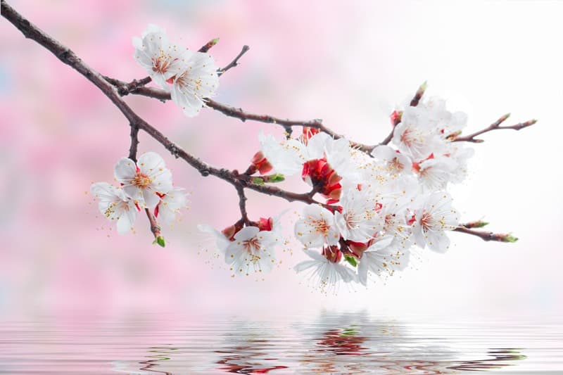 <span  class="uc_style_uc_tiles_grid_image_elementor_uc_items_attribute_title" style="color:#ffffff;">2662</span>
