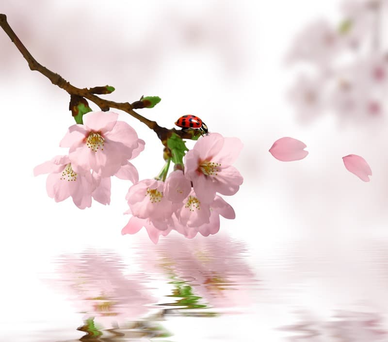 <span  class="uc_style_uc_tiles_grid_image_elementor_uc_items_attribute_title" style="color:#ffffff;">2667</span>