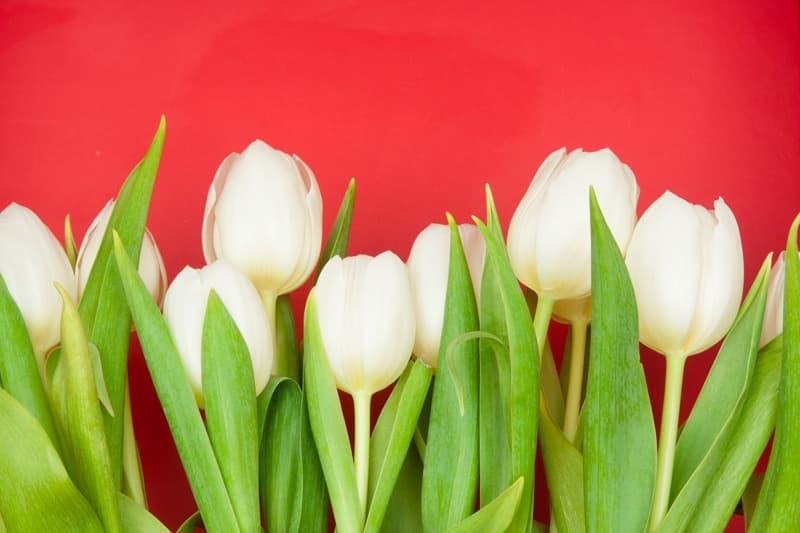 <span  class="uc_style_uc_tiles_grid_image_elementor_uc_items_attribute_title" style="color:#ffffff;">2669</span>