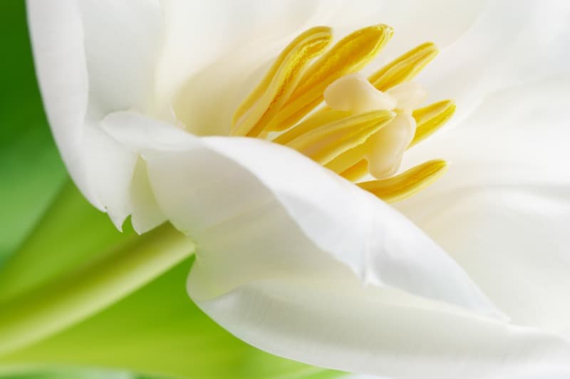 <span  class="uc_style_uc_tiles_grid_image_elementor_uc_items_attribute_title" style="color:#ffffff;">2670</span>