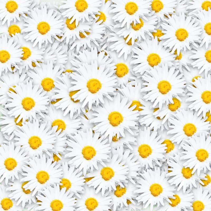 <span  class="uc_style_uc_tiles_grid_image_elementor_uc_items_attribute_title" style="color:#ffffff;">2671</span>