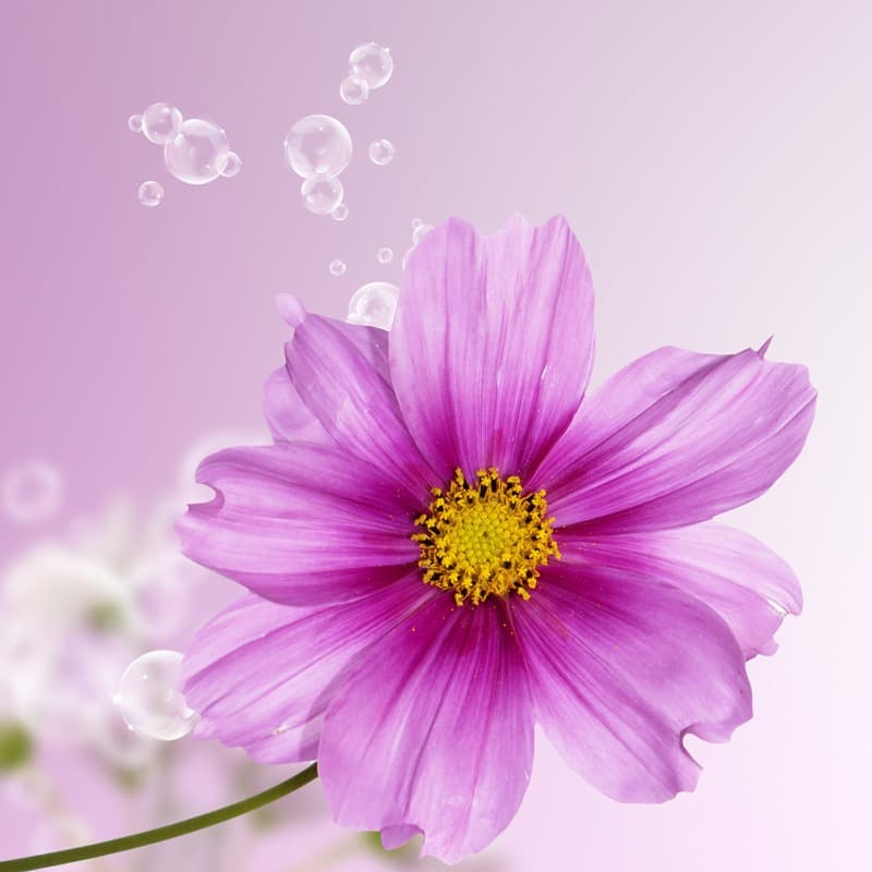 <span  class="uc_style_uc_tiles_grid_image_elementor_uc_items_attribute_title" style="color:#ffffff;">2673</span>