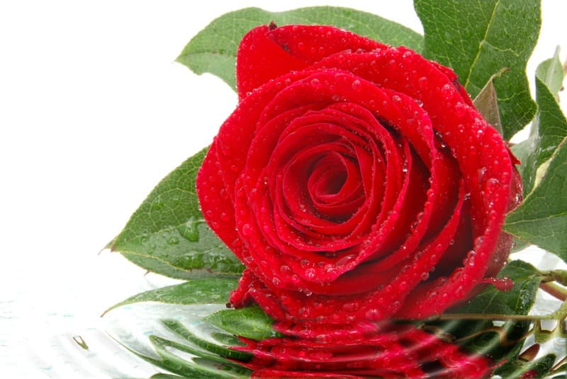 <span  class="uc_style_uc_tiles_grid_image_elementor_uc_items_attribute_title" style="color:#ffffff;">2674</span>