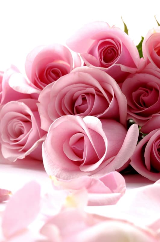 <span  class="uc_style_uc_tiles_grid_image_elementor_uc_items_attribute_title" style="color:#ffffff;">2676</span>