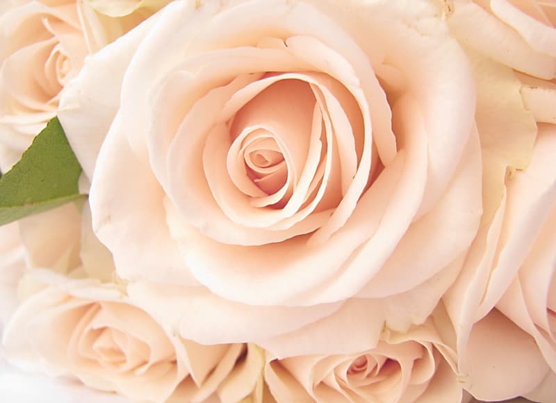 <span  class="uc_style_uc_tiles_grid_image_elementor_uc_items_attribute_title" style="color:#ffffff;">2677</span>