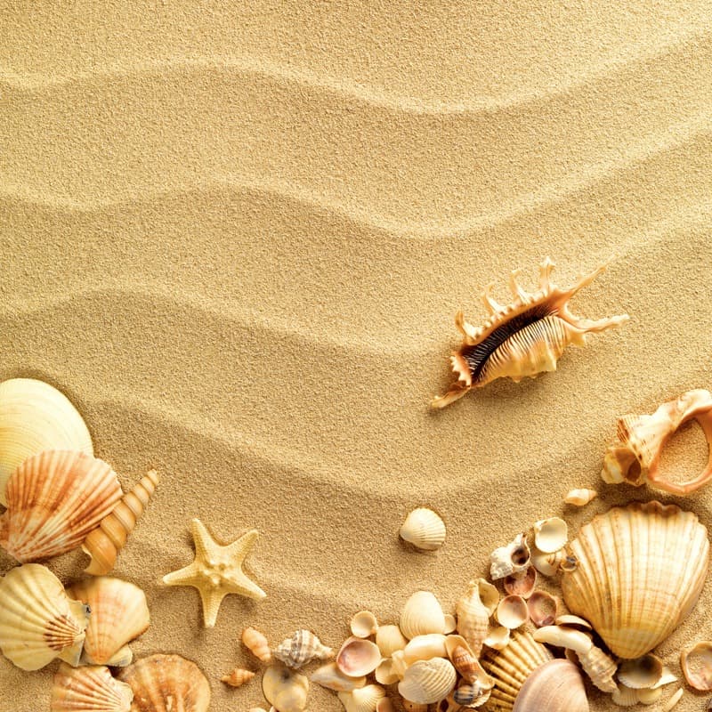 <span  class="uc_style_uc_tiles_grid_image_elementor_uc_items_attribute_title" style="color:#ffffff;">2740</span>