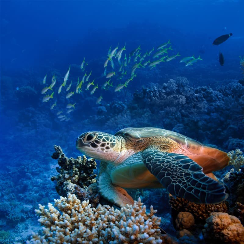 <span  class="uc_style_uc_tiles_grid_image_elementor_uc_items_attribute_title" style="color:#ffffff;">2748</span>