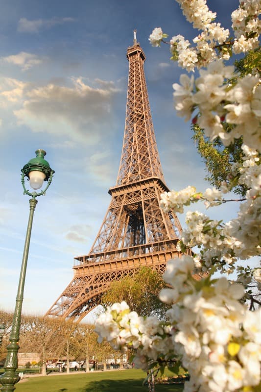 <span  class="uc_style_uc_tiles_grid_image_elementor_uc_items_attribute_title" style="color:#ffffff;">2755</span>