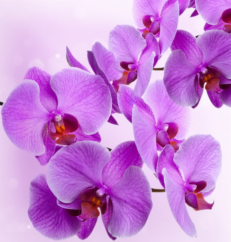 <span  class="uc_style_uc_tiles_grid_image_elementor_uc_items_attribute_title" style="color:#ffffff;">2767</span>