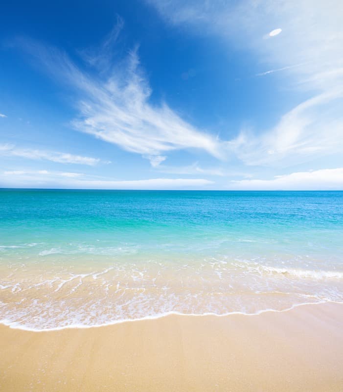 <span  class="uc_style_uc_tiles_grid_image_elementor_uc_items_attribute_title" style="color:#ffffff;">2772</span>