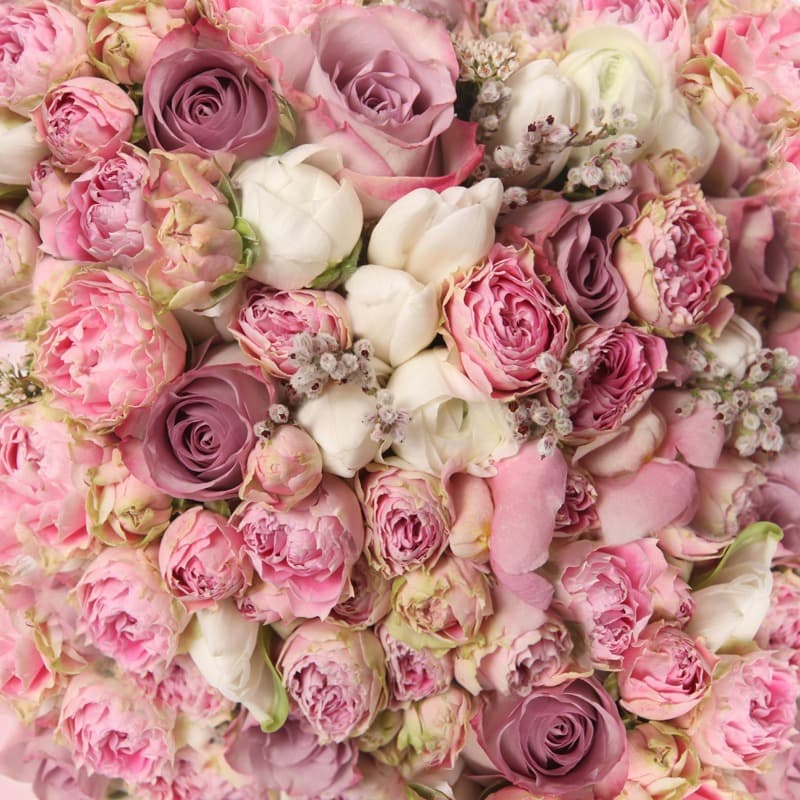 <span  class="uc_style_uc_tiles_grid_image_elementor_uc_items_attribute_title" style="color:#ffffff;">2779</span>