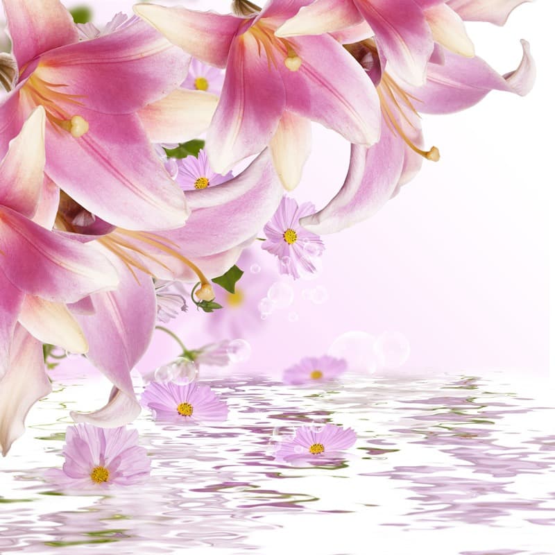 <span  class="uc_style_uc_tiles_grid_image_elementor_uc_items_attribute_title" style="color:#ffffff;">2780</span>