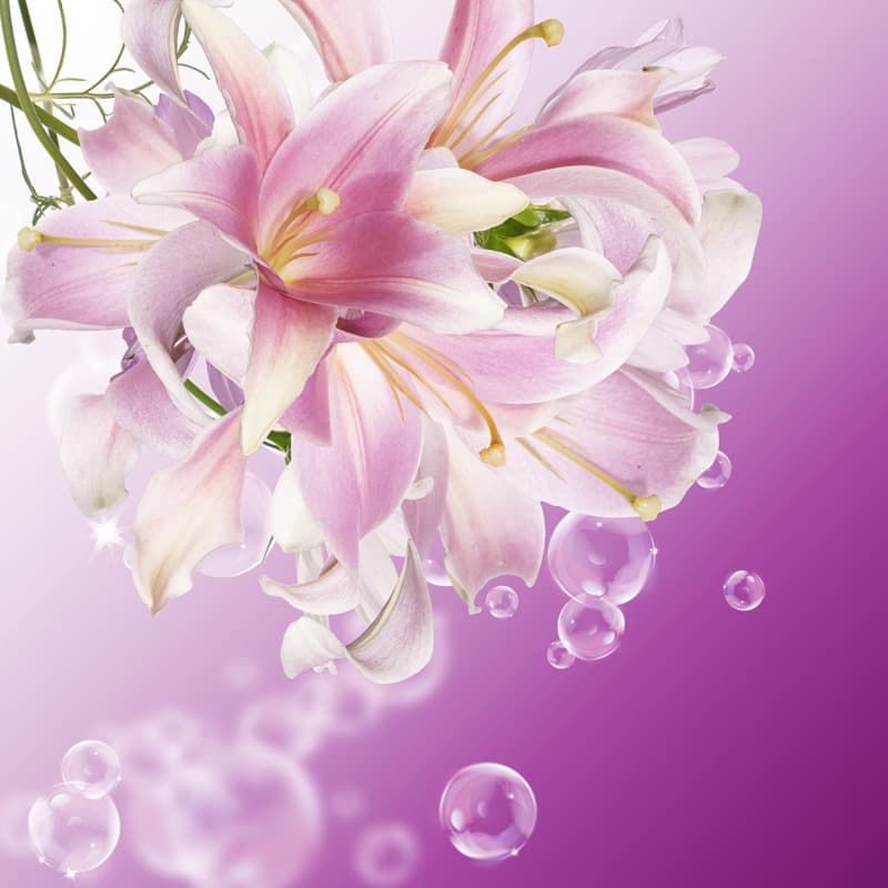 <span  class="uc_style_uc_tiles_grid_image_elementor_uc_items_attribute_title" style="color:#ffffff;">2837</span>