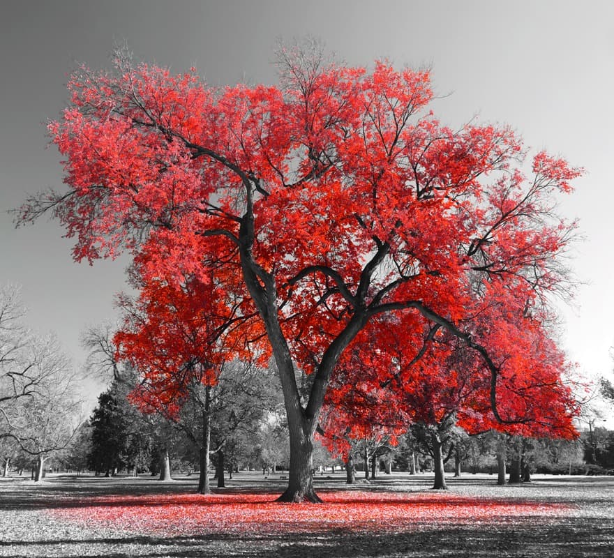 <span  class="uc_style_uc_tiles_grid_image_elementor_uc_items_attribute_title" style="color:#ffffff;">2863</span>