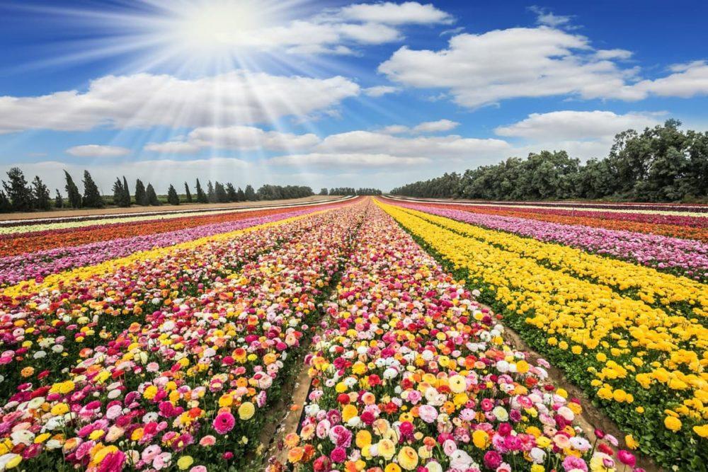 <span  class="uc_style_uc_tiles_grid_image_elementor_uc_items_attribute_title" style="color:#ffffff;">2922</span>