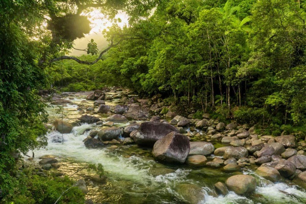 <span  class="uc_style_uc_tiles_grid_image_elementor_uc_items_attribute_title" style="color:#ffffff;">2994</span>