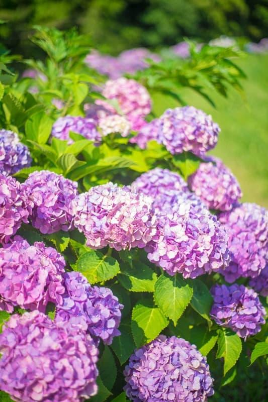<span  class="uc_style_uc_tiles_grid_image_elementor_uc_items_attribute_title" style="color:#ffffff;">3117</span>