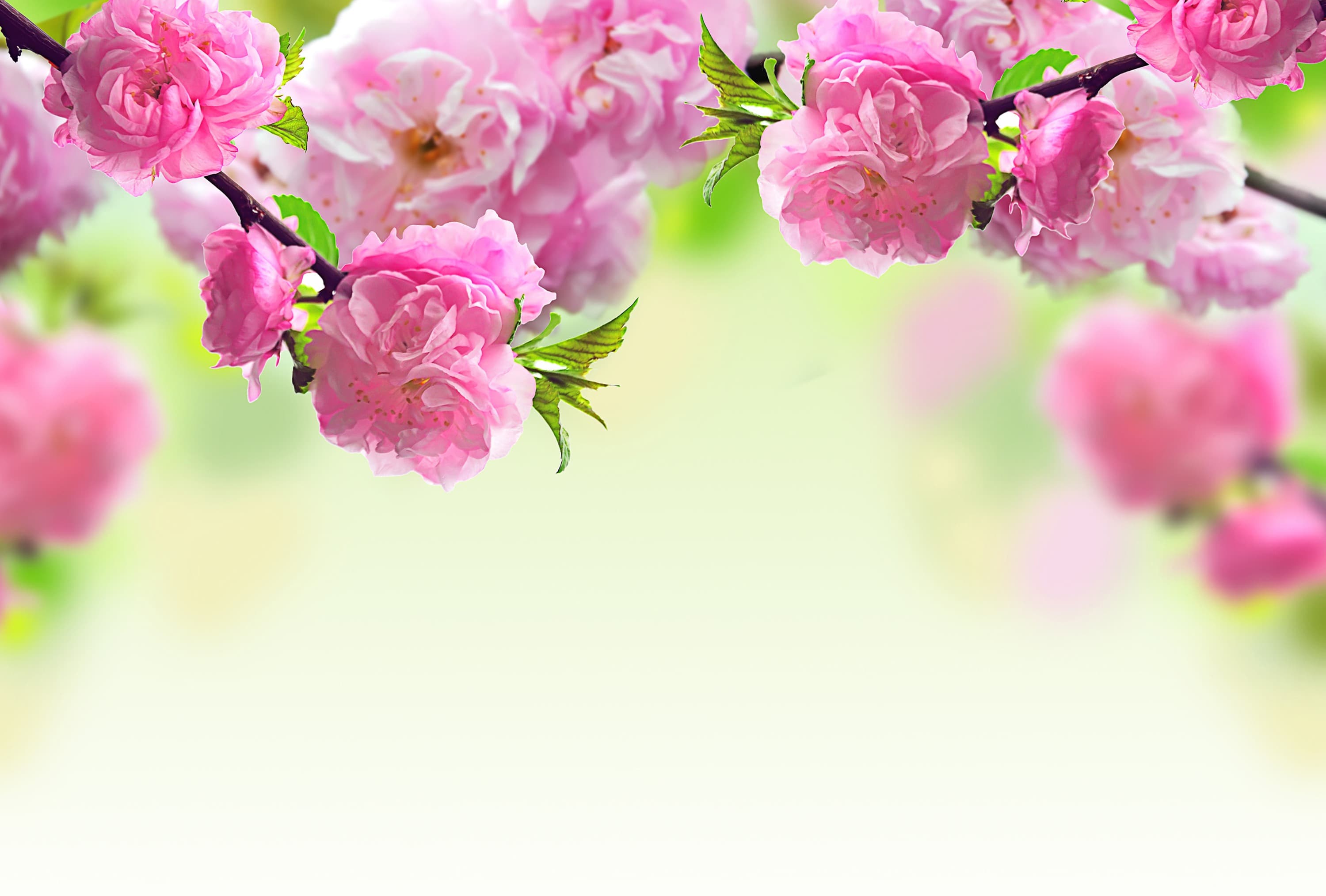 <span  class="uc_style_uc_tiles_grid_image_elementor_uc_items_attribute_title" style="color:#ffffff;">3145</span>