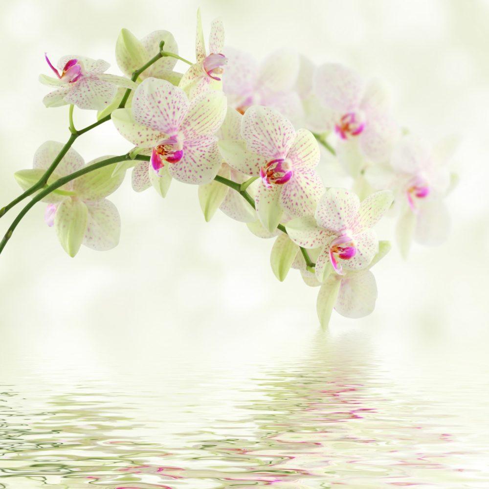 <span  class="uc_style_uc_tiles_grid_image_elementor_uc_items_attribute_title" style="color:#ffffff;">3152</span>