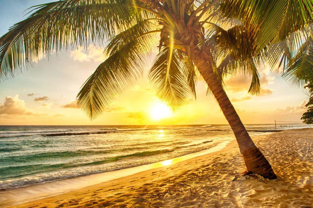 <span  class="uc_style_uc_tiles_grid_image_elementor_uc_items_attribute_title" style="color:#ffffff;">3188</span>