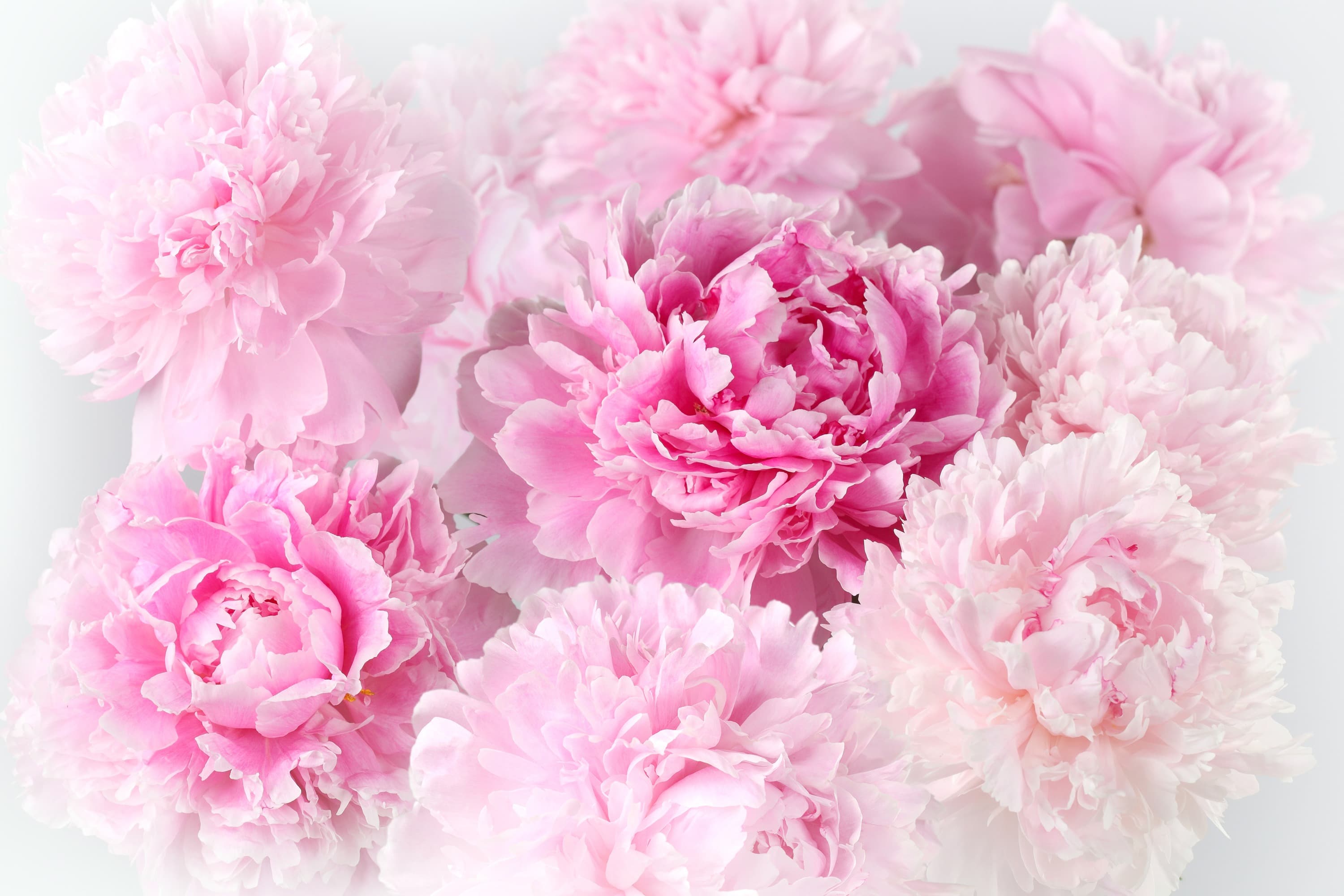 <span  class="uc_style_uc_tiles_grid_image_elementor_uc_items_attribute_title" style="color:#ffffff;">3194</span>
