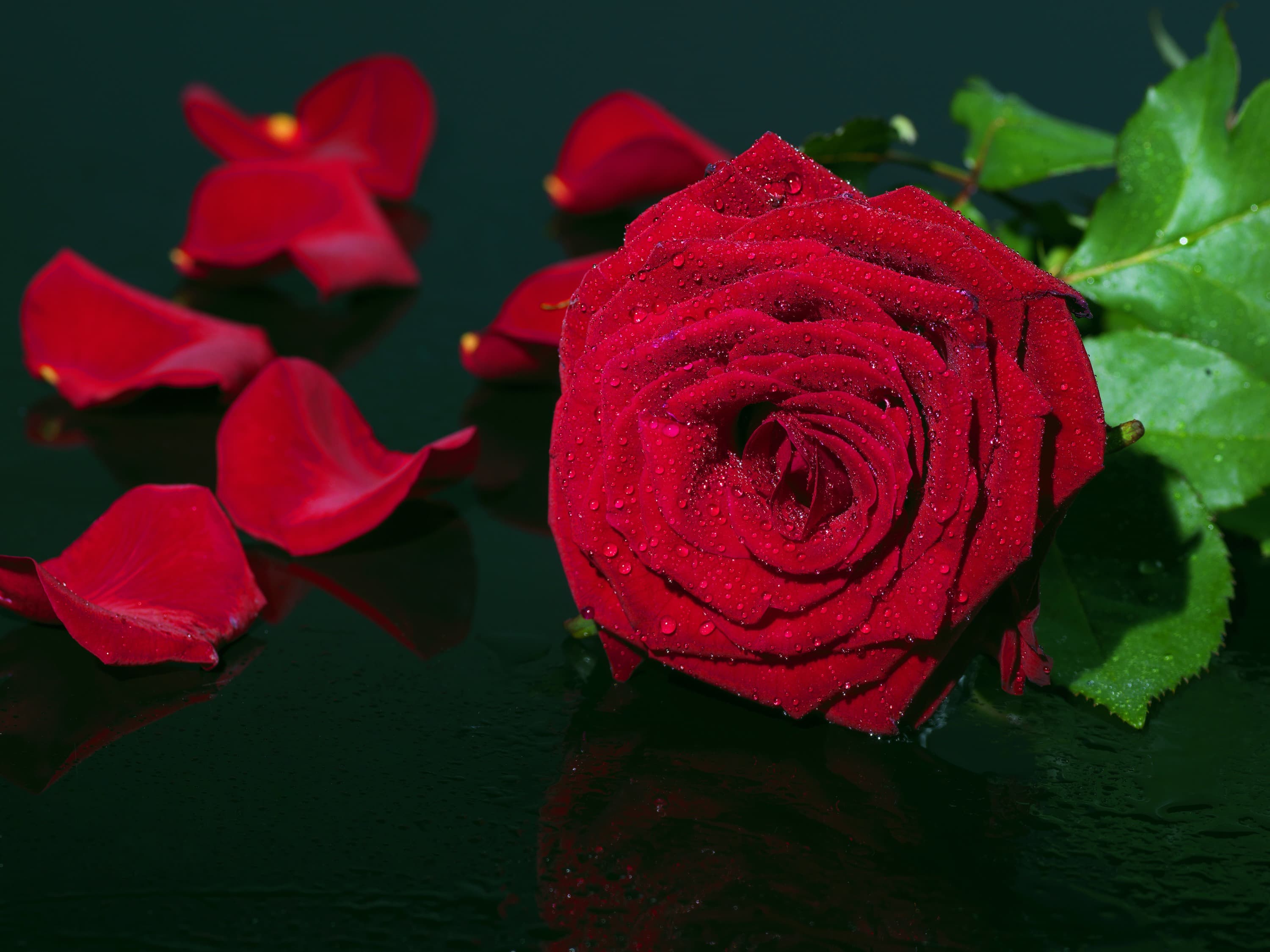 <span  class="uc_style_uc_tiles_grid_image_elementor_uc_items_attribute_title" style="color:#ffffff;">3213</span>