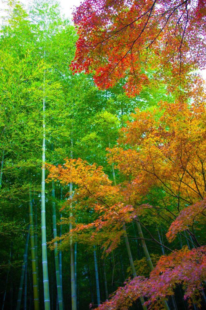 <span  class="uc_style_uc_tiles_grid_image_elementor_uc_items_attribute_title" style="color:#ffffff;">3221</span>